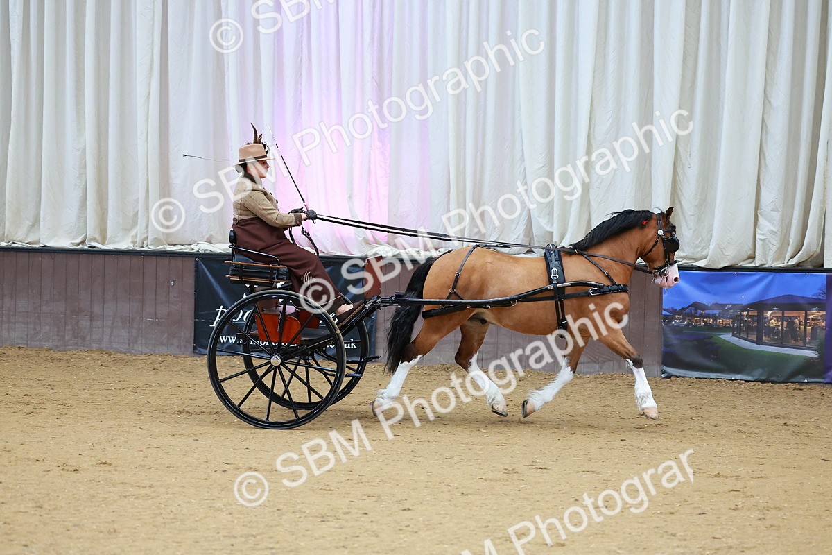 SBM_000102 - Class 3 - Alison Thomas Memorial Lady Whip