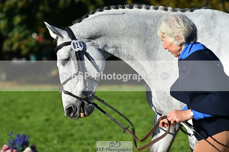 231022-100318-22213 - 624-CORRIEVIEW.OSCAR-Jane.Rogers-TrotUp+SJ