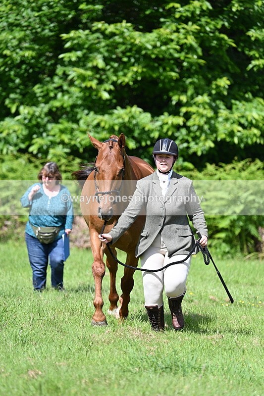 WJ7_1071 - Class 11 Condition & Turnout