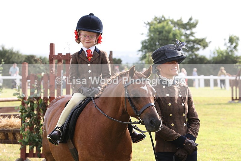 JPP_0328 - Class 14: Cornish Combination Leading Rein