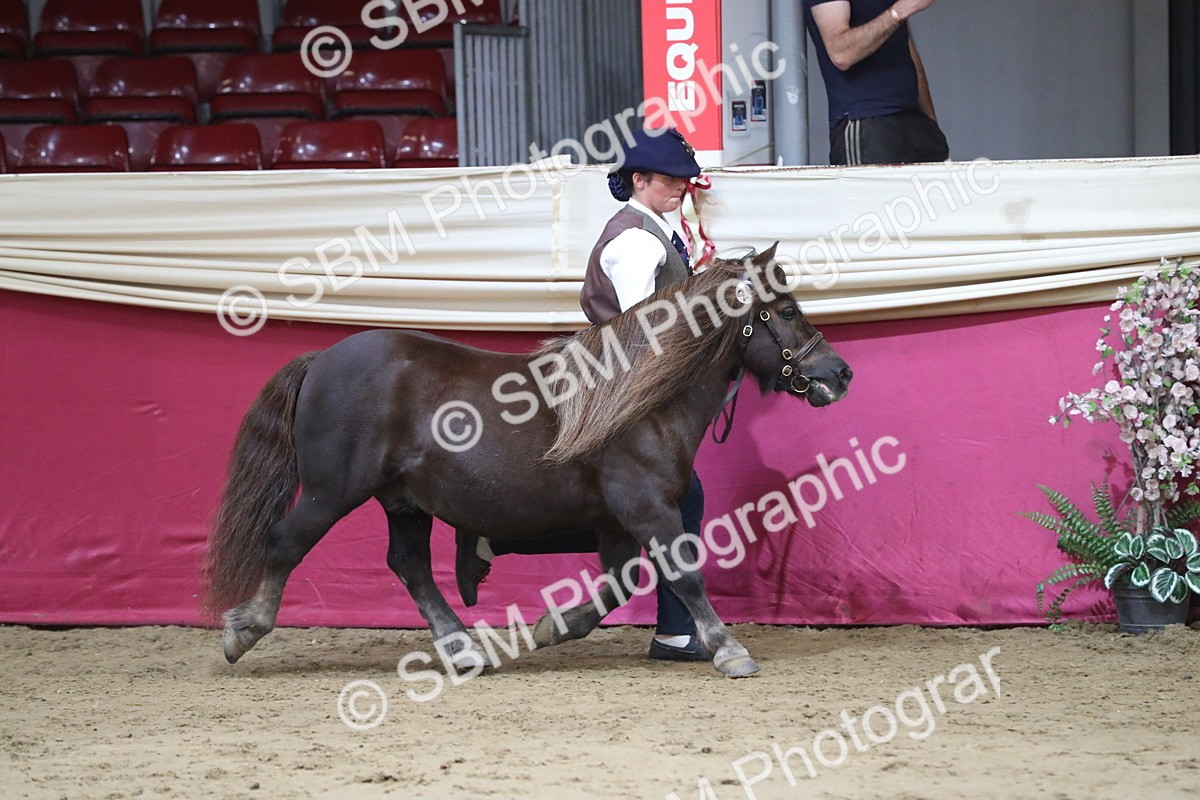 SBM_05005 - Class 8R- Regional -IH Veteran