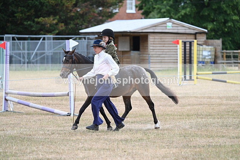 WJ7_0353 - Class 6 Ridden Mountain and Moorland