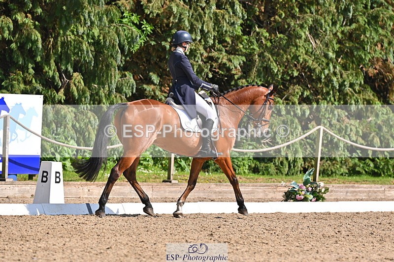 250523A-163232-08081 - B-378-Molly.Brown-KILRUSH.RED