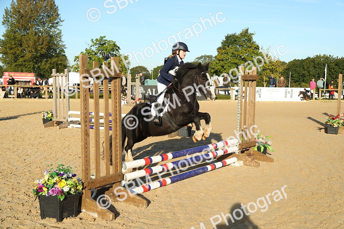 SBM_34909 - J5 - Junior Pony 50cm Championship