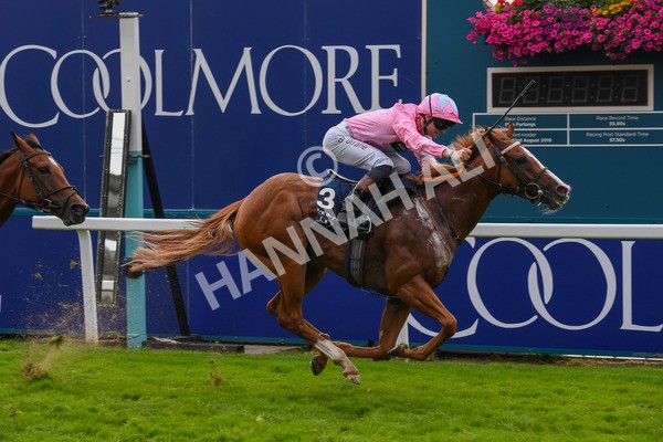 250823-Race 4-Live In The Dream-0683 - Race 4 3.35pm Coolmore Wootton Bassett Nunthorpe Stakes