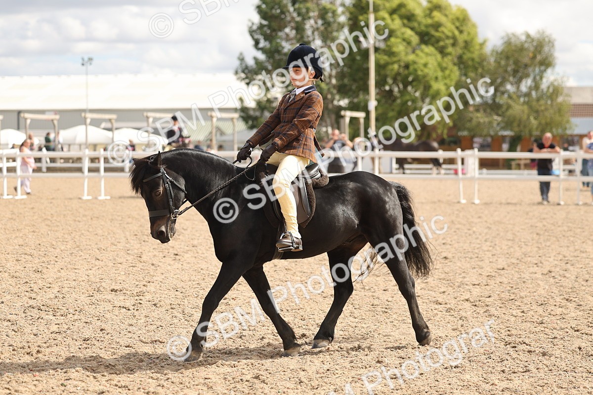 SBM_15877 - Class 310 - First Ridden Pony