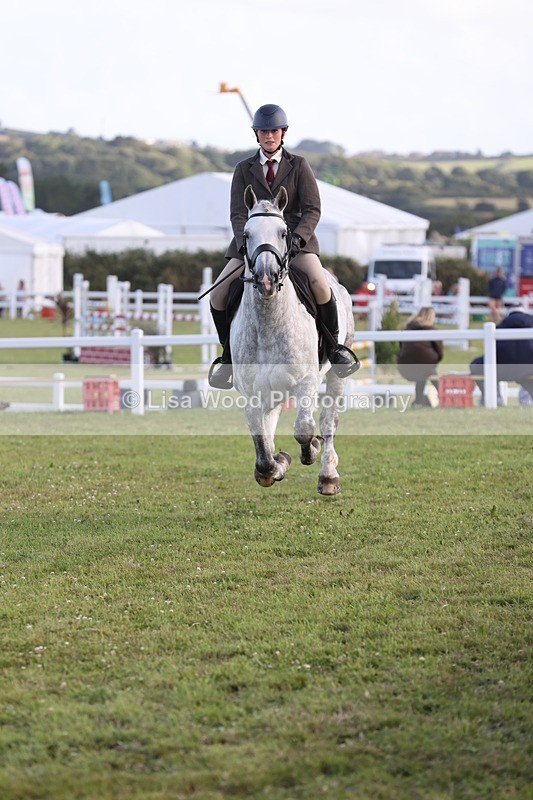 JPP_3535 - Class 22: Working Hunter 90cm