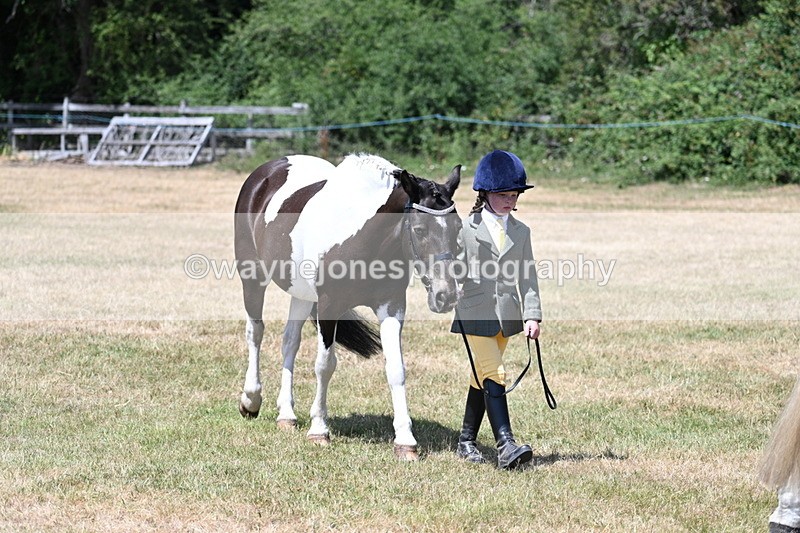 WJ7_2211 - Class 5 Most Handsome Gelding (up to 14.2hh) in hand