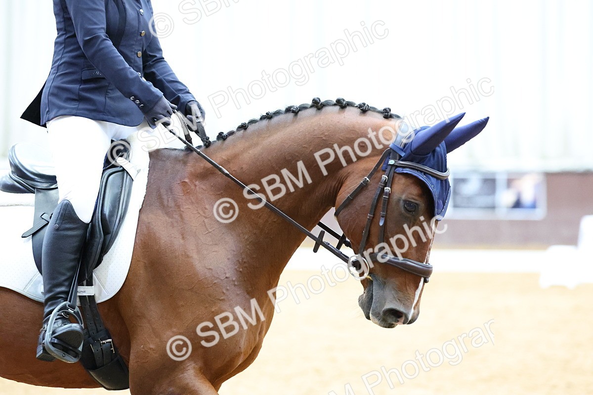 SBM_003900 - Elementary 1