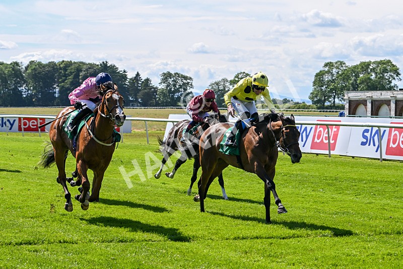 160624-Race 1-Alice Fairfax-8311 - Race 1