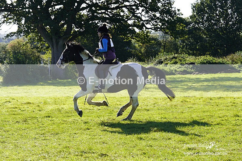 WWHT 031021 624 - Novice Restricted (0.80m) 03/10/21