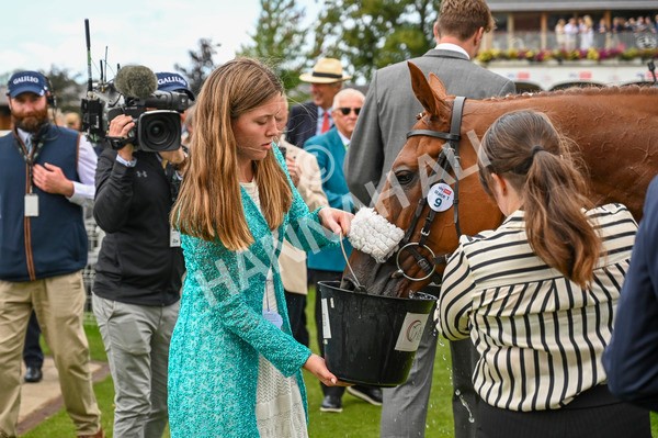 240824-Race 1-See The Fire-0398 - Race 1 1.50pm Sky Bet Strensall Stakes