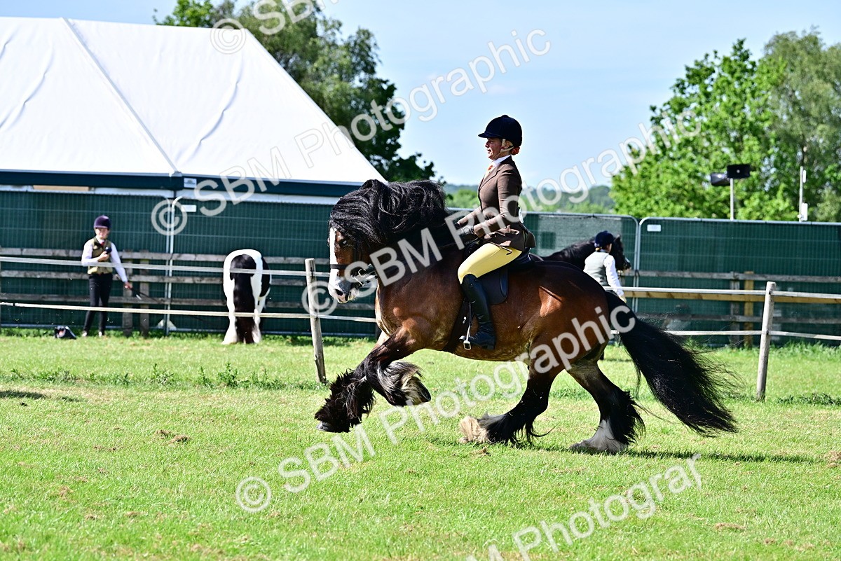 SBM_09329 - Class 63-65 - Traditional Gypsy Cobs In Hand & Ridden