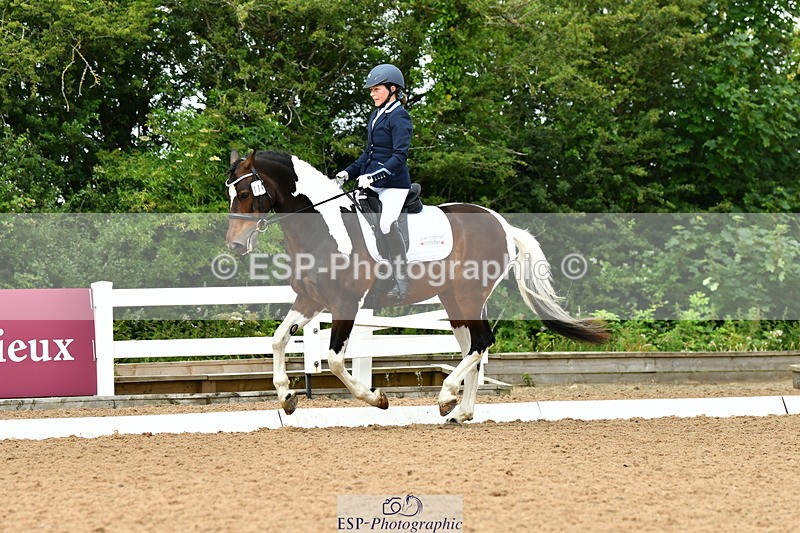 230702A-123111-09639 - Cls 28 Elementary 45