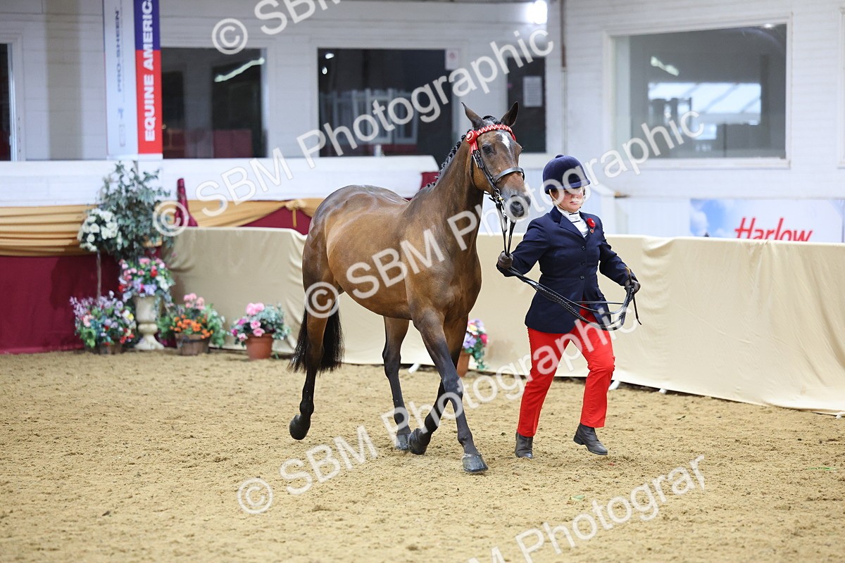 SBM_21093 - Class 902 - Supreme Final IH Veteran