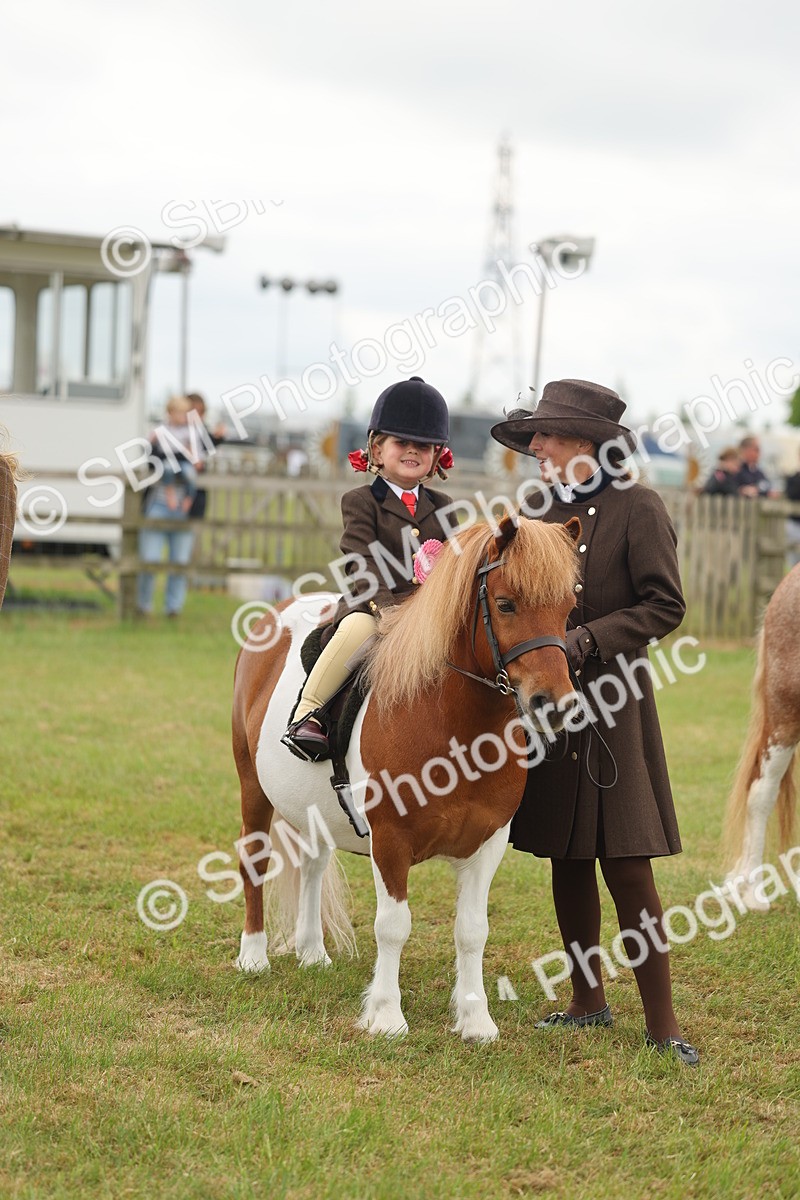 SBM_06814 - Class 74-75 - M&M Lead Rein and First Ridden Pony