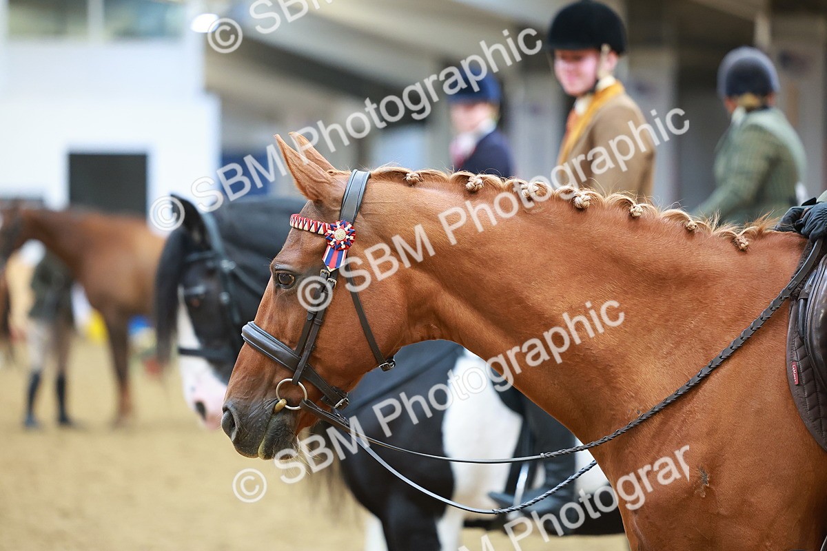 SBM_09712 - Class 102 - HOYS Veteran Qualifier - Ridden Veteran