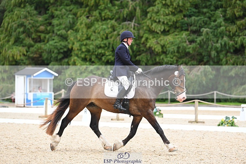 230813-140455-07672 - Cls 13 Medium Bronze 13.15 to End