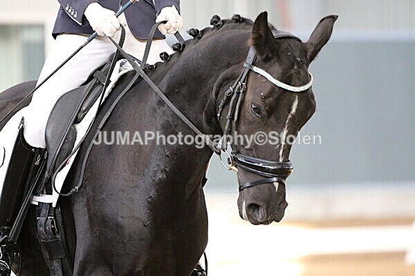 SIAL6820 - GDG Bogenraith Friday 26th Sept 2025