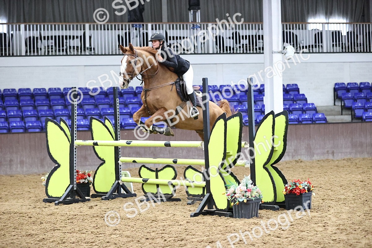 SBM_007597 - Class 19 - Senior Newcomers 1.10m