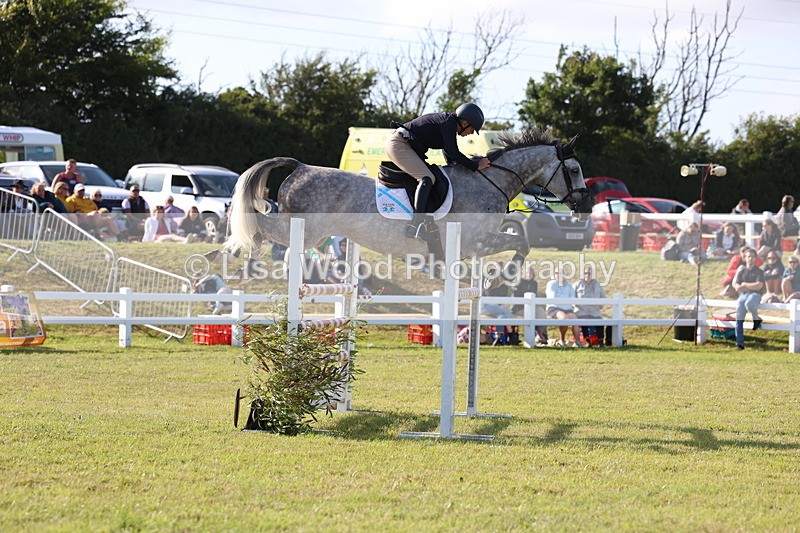 3E7A4412 - Class C: Showjumping Senior Foxhunter