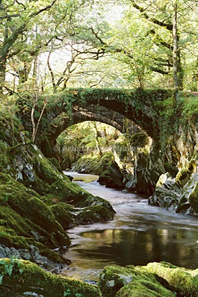 Pandy bridge V2 - Sceniks.com - Snowdonia landscape photographs by Dave O'Shea