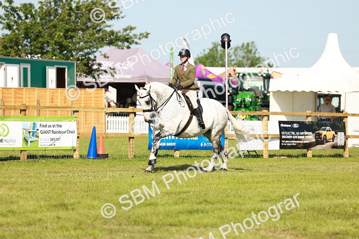 SBM_11820 - Class 66-69 - RIHS Ridden Hunters Inc Small Hunter