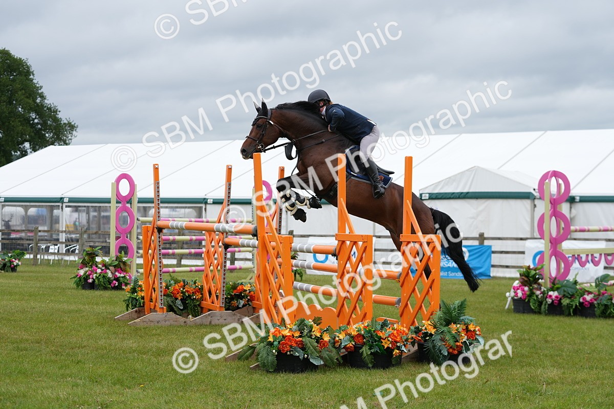 SBM_03337 - Class 201 - British Horse Feeds Speedi Beet Horse of the Year Show Grade  C