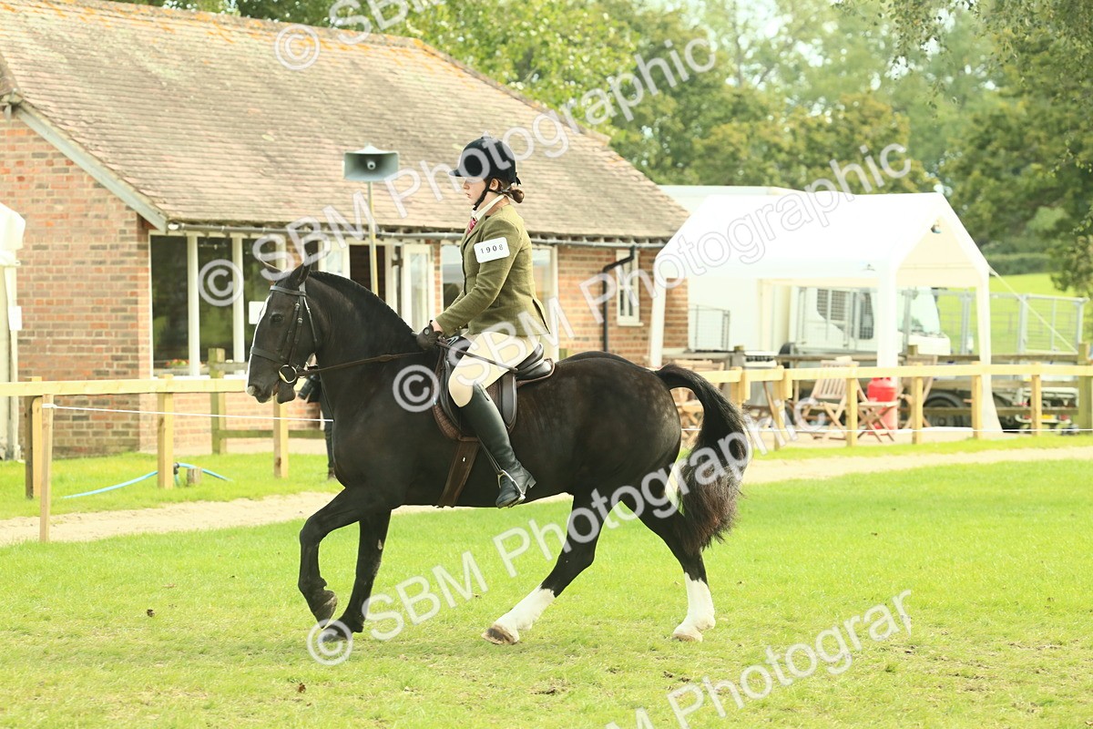 SBM_68251 - S58 - Mini Show Cob Ridden