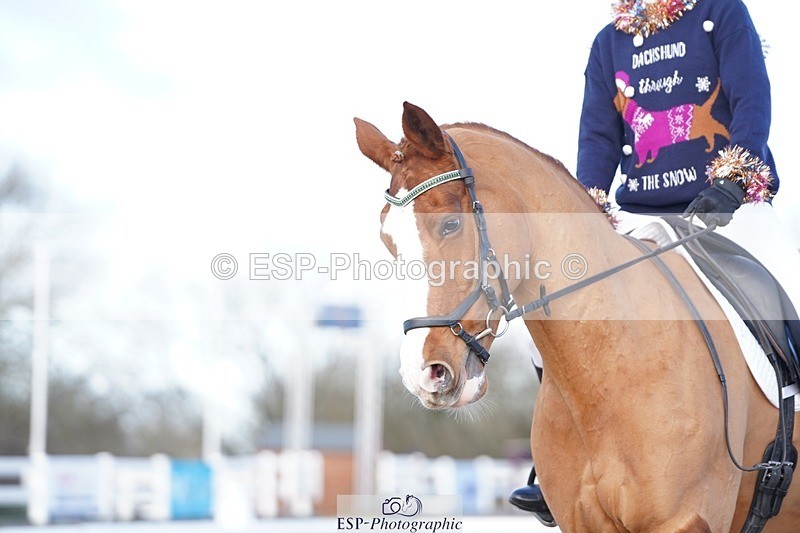 241214-132402-00608 - 134-Melanie.Haslock-Minnie.I