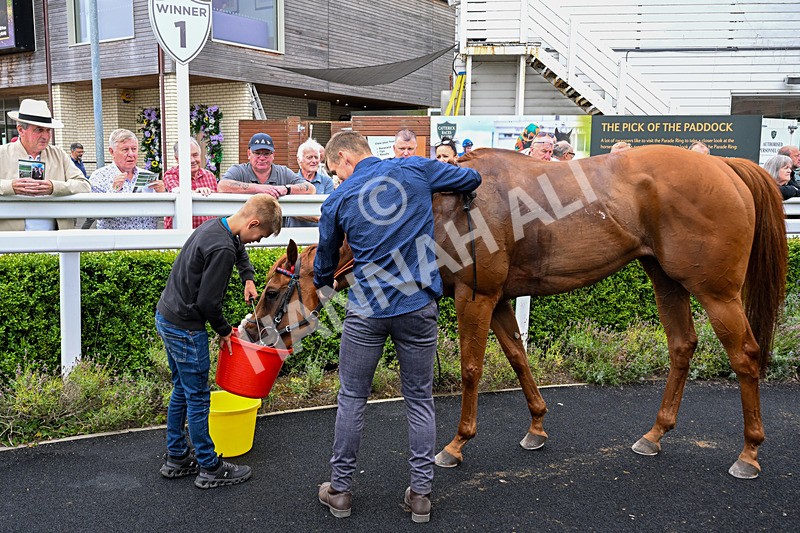 170826-Race 5-Our Absent Friends-5511 - Race 5 16.15pm racingtv.com Handicap