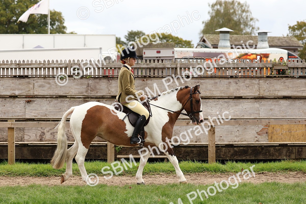SBM_64372 - S58 - Coloured Pony Ridden