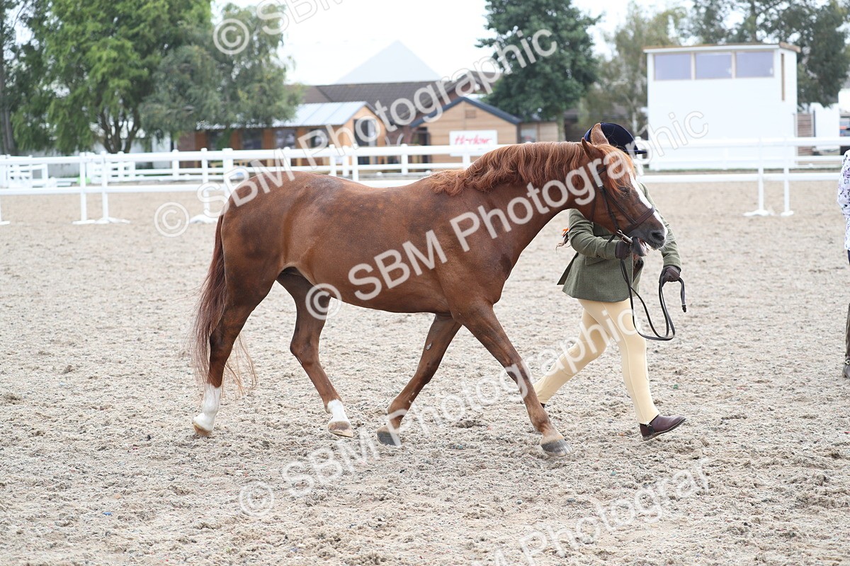 SBM_22547 - Class 604 - 2025 Area - IH Diamond