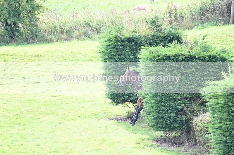 WJ7_7485 - Time 13:21 to 13:29