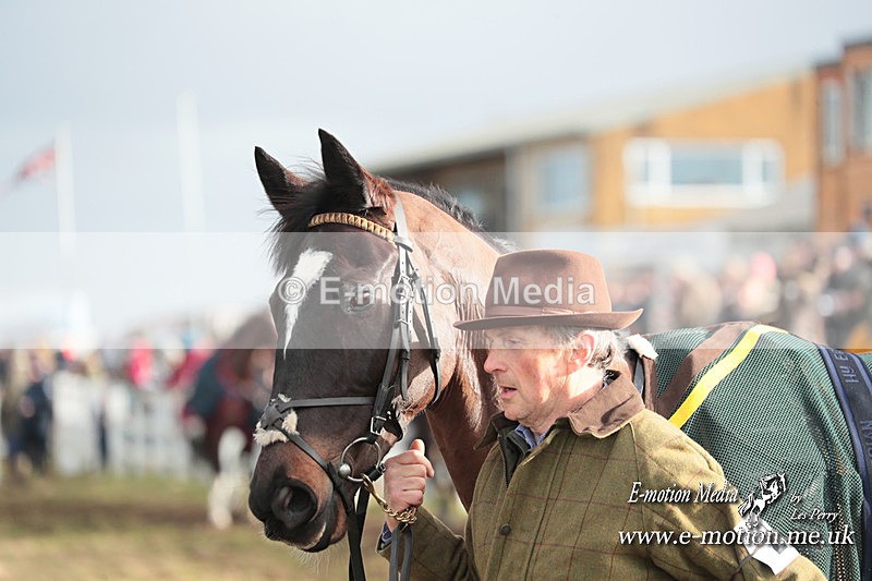 PtP 311223 366 - Larkhill Racing Club Point-to-Point 31/12/23