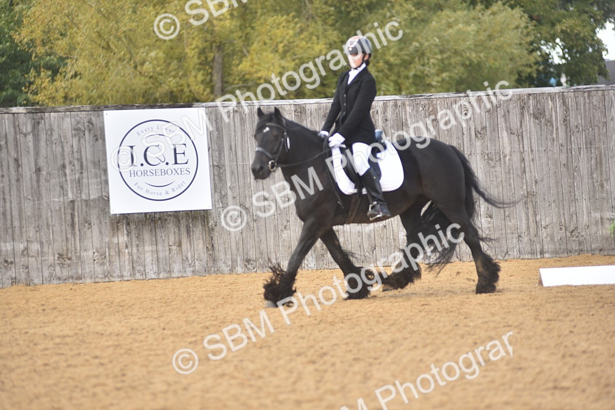 SBM_48803 - D22 - Junior Championship Intro 3