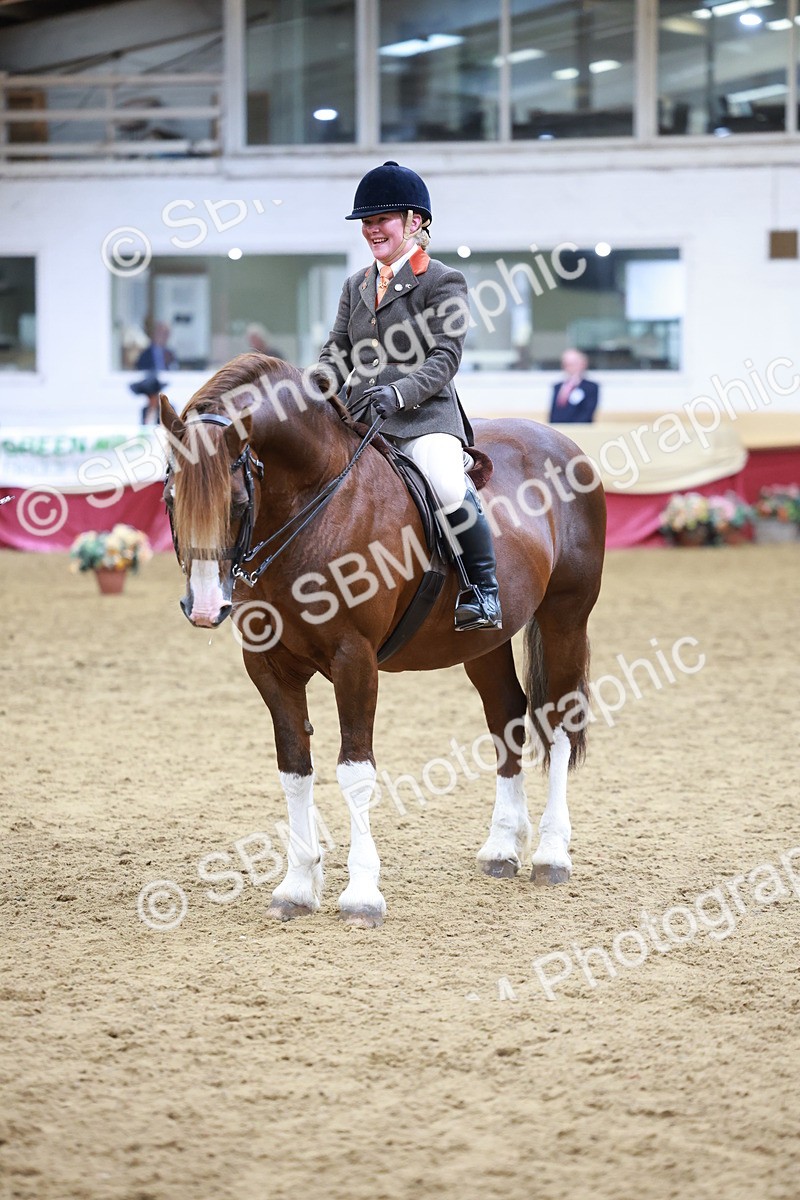 SBM_18820 - Class 952 - M&M Ridden Supreme Final