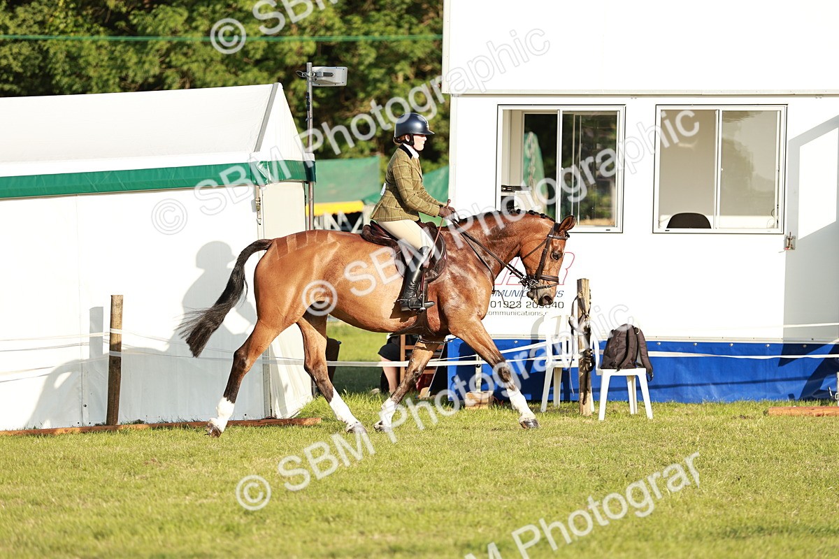 SBM_20443 - Class 117-119 - Sport Horse Working Hunter