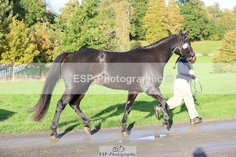 251026A-093612-22364 - D-356-Eloise.Starr