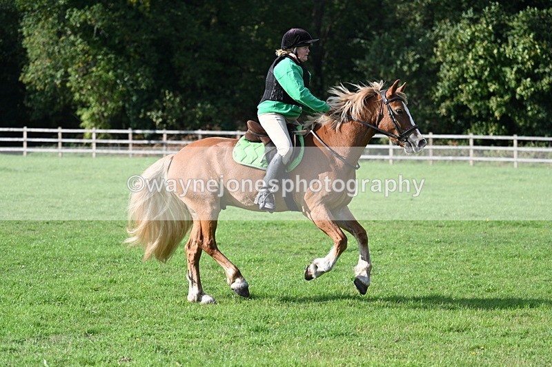 WJ7_3483 - 40cm Time 10:08 to 10:25