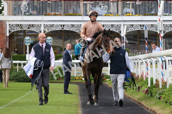yr22052022r7-27 - Race 7: 6:40pm Sky Bet Sunday Series Fillies' and Mares Stakes