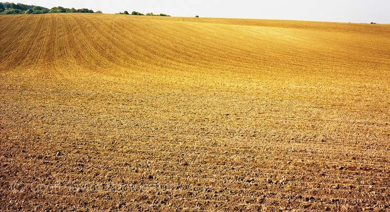 Littleworth Hill - A Rural Landscape