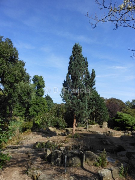 Regent's Park - Landscapesque