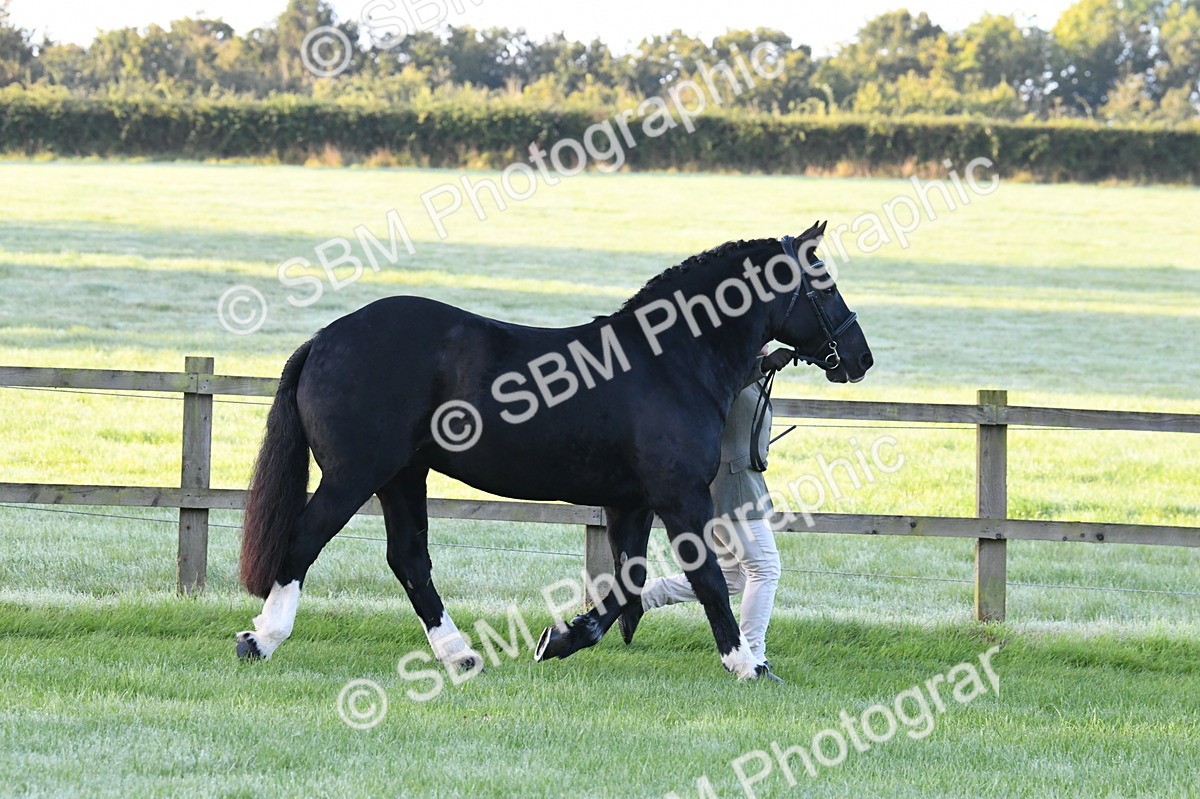 SBM_32525 - S15 - Condition & Turnout In Hand