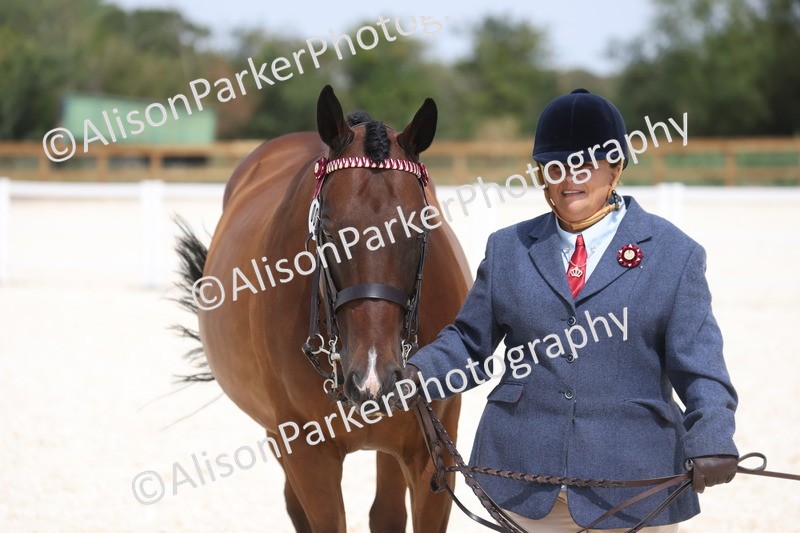 20260802-1531 - Class 16 - Best Horse or Pony