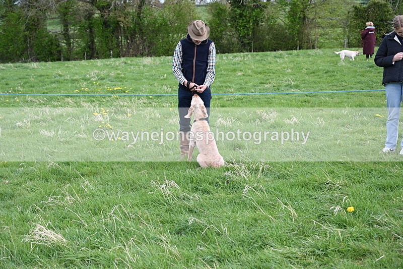 WJ6_8012 - Class 2 Best Pedigree