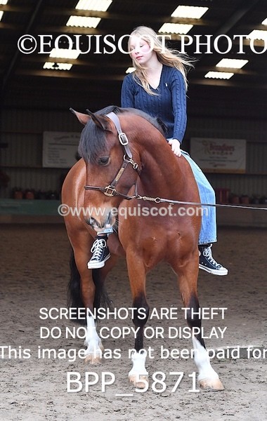 BPP_5871 - Marion West pony 3