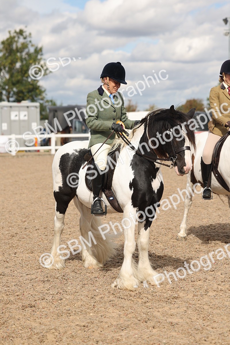 SBM_14691 - Class 307 - Ridden Coloured Pony