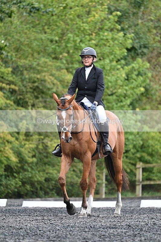 WJ7_5649 - Time 10:25 to 10:54