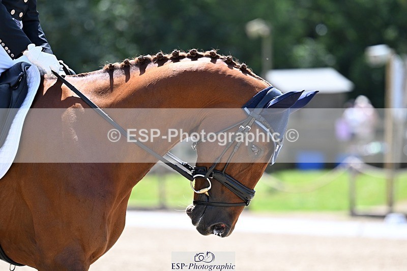 260529A-141312-10649 - G-768-Abby.Jones
